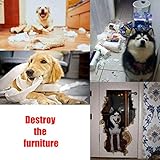 AWOOF Hundespielzeug Schnüffelteppich für Hunde Intelligenzspielzeug für Hunde Schnüffelmatte Schnüffeldecke Hundespielzeug Intelligenz Hunde Beschäftigung, Riechen Trainieren Waschbar Faltbar - 7