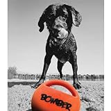 Zeus Bomber Durafoam Spielball für Hunde, 15cm - 2