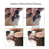 Hundespielzeug für Welpen, 8 Packungen, Hundespielzeug, Seil, Ball, Frisbee, langlebig, für kleine bis mittelgroße Hunde, interaktive Spiele (Green8) - 2