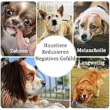 Hundespielzeug für Welpen, 8 Packungen, Hundespielzeug, Seil, Ball, Frisbee, langlebig, für kleine bis mittelgroße Hunde, interaktive Spiele (Green8) - 3