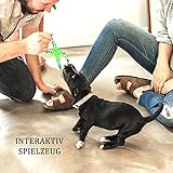 Hundespielzeug für Welpen, 8 Packungen, Hundespielzeug, Seil, Ball, Frisbee, langlebig, für kleine bis mittelgroße Hunde, interaktive Spiele (Green8) - 4