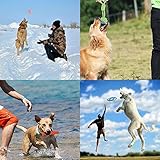 Hundespielzeug für Welpen, 8 Packungen, Hundespielzeug, Seil, Ball, Frisbee, langlebig, für kleine bis mittelgroße Hunde, interaktive Spiele (Green8) - 5