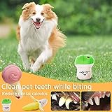 Hundespielzeug,MAISITOO 19 Pcs Seil Ball Hunde robuste Zähne Kauen langlebig Spielzeug Zahntraining Set Für Kleine große mittelgroßen Hund Interaktives Spielset Unzerstoerbar BaumwollknotenTau Tier - 4