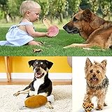 Hundespielzeug,MAISITOO 19 Pcs Seil Ball Hunde robuste Zähne Kauen langlebig Spielzeug Zahntraining Set Für Kleine große mittelgroßen Hund Interaktives Spielset Unzerstoerbar BaumwollknotenTau Tier - 6