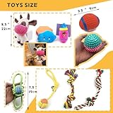 Sundrawy Kleine Hundespielzeuge Quietschen Ausgestopftes Plüsch Kuscheliges Welpenspielzeug Interaktive Spielbälle Schleppseile zum Kauen und Zahnen Auswahl an Haustierspielzeug Geschenkpaketen - 5