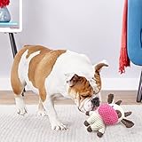 Sundrawy Kleine Hundespielzeuge Quietschen Ausgestopftes Plüsch Kuscheliges Welpenspielzeug Interaktive Spielbälle Schleppseile zum Kauen und Zahnen Auswahl an Haustierspielzeug Geschenkpaketen - 5