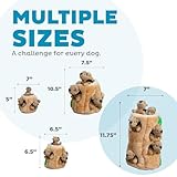 Outward Hound Plüsch-Hundespielzeug Hide A Squirrel, XL - 5