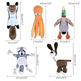 CITAMAMA Quietschendes Hundespielzeug, 5 Stück Hundeplüschspielzeug Kauspielzeug für Hunde Zahnreinigung Interaktives Trainingsspielzeug Welpenspielzeug für Welpen Kleine Hunde - 2