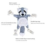 CITAMAMA Quietschendes Hundespielzeug, 5 Stück Hundeplüschspielzeug Kauspielzeug für Hunde Zahnreinigung Interaktives Trainingsspielzeug Welpenspielzeug für Welpen Kleine Hunde - 3