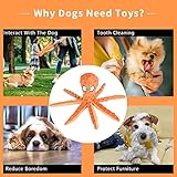 CITAMAMA Quietschendes Hundespielzeug, 5 Stück Hundeplüschspielzeug Kauspielzeug für Hunde Zahnreinigung Interaktives Trainingsspielzeug Welpenspielzeug für Welpen Kleine Hunde - 5