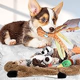 CITAMAMA Quietschendes Hundespielzeug, 5 Stück Hundeplüschspielzeug Kauspielzeug für Hunde Zahnreinigung Interaktives Trainingsspielzeug Welpenspielzeug für Welpen Kleine Hunde - 6