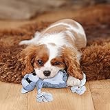 CITAMAMA Quietschendes Hundespielzeug, 5 Stück Hundeplüschspielzeug Kauspielzeug für Hunde Zahnreinigung Interaktives Trainingsspielzeug Welpenspielzeug für Welpen Kleine Hunde - 7