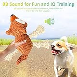 Sqinor Hundespielzeug Plüsch Quietschend Interaktives Stabiles Spielzeug für Große Kleine Hund und Welpen – Kuscheltier für Hunde (Eichhörnchen) - 3