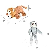 Amazon Basics Quietschendes Hundespielzeug aus Plüsch, Löwe und Faultier, 2er Pack - 5