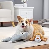 Amazon Basics Quietschendes Hundespielzeug aus Plüsch, Löwe und Faultier, 2er Pack - 6