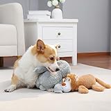 Amazon Basics Quietschendes Hundespielzeug aus Plüsch, Löwe und Faultier, 2er Pack - 6