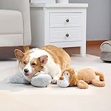 Amazon Basics Quietschendes Hundespielzeug aus Plüsch, Löwe und Faultier, 2er Pack - 7