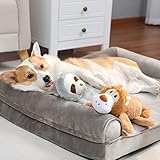 Amazon Basics Quietschendes Hundespielzeug aus Plüsch, Löwe und Faultier, 2er Pack - 8