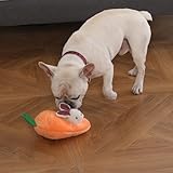 Amazon Basics Quietschendes Hundespielzeug aus Plüsch zum Verstecken Spielen, Hase und Karotte, 4er Pack - 6