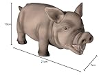 Trixie 35491 Schwein, Original-Tierstimme, Latex, 21 cm - 2