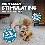 Outward Hound Hide-A-Squirrel Puzzle – Plüsch-Hundespielzeug mit Eichhörnchen, S, braun, 31001 - 5