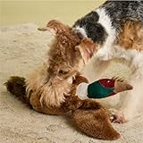 Rosewood Joules Quietschendes weiches Plüsch-Fasan, interaktives Trainingsspielzeug für Hunde, 46 x 36 cm - 2