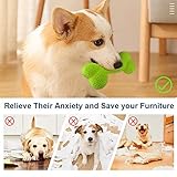 Petper Cw-0094EU Hund, Quietschendes Spielzeug, Latex, Welpe, Spielknochen mit Dornen, Hundespielzeug, Interaktives Spielzeug zum Spielen und zum Training - 2