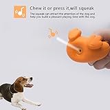 Petper Cw-0073EU Quietschendes Tierspielzeug aus Latex für Hund, Katze, Hundetraining, Interaktive Spielzeuge für Welpen - 4