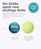 Outward Hound Squeaker Ballz – Hundespielzeug zum Apportieren – Größe M – 4er-Pack - 3