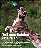 Outward Hound Squeaker Ballz – Hundespielzeug zum Apportieren – Größe M – 4er-Pack - 4
