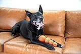 Outward Hound Squeaker Ballz – Hundespielzeug zum Apportieren – Größe M – 4er-Pack - 7