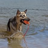 KONG – Aqua – Schwimmendes Wasserspielzeug zum Apportieren – Für Große Hunde - 2