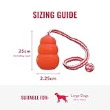 KONG – Aqua – Schwimmendes Wasserspielzeug zum Apportieren – Für Große Hunde - 3