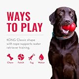 KONG – Aqua – Schwimmendes Wasserspielzeug zum Apportieren – Für Große Hunde - 4