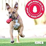 KONG – Aqua – Schwimmendes Wasserspielzeug zum Apportieren – Für Große Hunde - 7