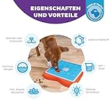 Outward Hound Nina Ottosson Challenge Slider – Intelligenzspielzeug für Hunde – Schiebespiel für Leckerlis - 2