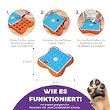 Outward Hound Nina Ottosson Challenge Slider – Intelligenzspielzeug für Hunde – Schiebespiel für Leckerlis - 3