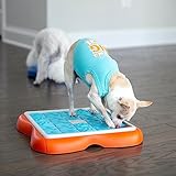 Outward Hound Nina Ottosson Challenge Slider – Intelligenzspielzeug für Hunde – Schiebespiel für Leckerlis - 7