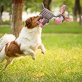 AWOOF Spielzeug für Hunde, Interaktives Plüsch Hundespielzeug, stabiles Quietschende Hundespielzeuge mit Baumwollstoff, Kauknochenspielzeug für Welpen, kleine, mittelgroße und große Rassen(4 Pack) - 6