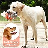 IOKHEIRA Hundespielzeug, Kuscheltier Hund,Quietschende Hundespielzeuge mit Knitterpapier,Gefüllte Hundespielzeug für Große Mittlere und Kleine Hunde - 5