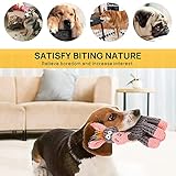 EACHPT Hundespielzeug, Hundespielzeug UnzerstöRbar, Hundespielzeug Quitschend, mit Quietschern, beißfest, Haustier-Hundekauartikel, kuschelig weich, für kleine und mittelgroße Hunde - 4
