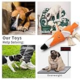 Sedioso Plüsch-Hundespielzeug, interaktiv, gefüllter Fuchs, Hundespielzeug gegen Langeweile, Kauspielzeug, niedliches quietschendes Hundespielzeug für Welpen, kleine, mittelgroße und große Rassen - 3
