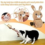 FWLWTWSS Intelligenzspielzeug für Hunde, Hundespielzeug Schnupftabak, Hundespielzeug Quietscher, Ostern Hundespielzeug Intelligenz für Stressabbau Langeweile, für Puzzle und Nahrungsinstinkttraining - 4