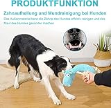 YIFRHYO Hundespielzeug große Hunde Tauziehen plüschtiere für Hunde,hundespielzeug quietschendes und unzerstörbar,Interaktives Kauspielzeug für Große Kleine Und Mittel Welpen Hunde - 5