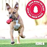 KONG – Wild Knots Bear – Innere Geknotete Seile und Minimale Füllung für Weniger Unordnung (Farbvar.) – Für Kleine/Mittelgroße Hunde, All breeds of dog - 7