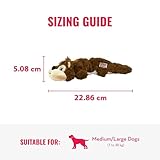KONG – Scrunch Knots Raccoon – Innere Geknotete Seile und Minimale Füllung für Weniger Unordnung – Für Kleine/Mittelgroße Hunde - 3