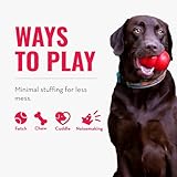 KONG – Scrunch Knots Raccoon – Innere Geknotete Seile und Minimale Füllung für Weniger Unordnung – Für Kleine/Mittelgroße Hunde - 5