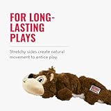 KONG – Scrunch Knots Raccoon – Innere Geknotete Seile und Minimale Füllung für Weniger Unordnung – Für Kleine/Mittelgroße Hunde - 6