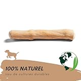 SUPRAVIT Natürlicher Kauknochen aus Kaffeeholz für Welpen XS | Mehr als EIN Holzstäbchen – spannendes Welpen Kauspielzeug & langanhaltende Beschäftigung | Kaustab Kauholz für Welpen - 2