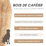 SUPRAVIT Natürlicher Kauknochen aus Kaffeeholz für Welpen XS | Mehr als EIN Holzstäbchen – spannendes Welpen Kauspielzeug & langanhaltende Beschäftigung | Kaustab Kauholz für Welpen - 6